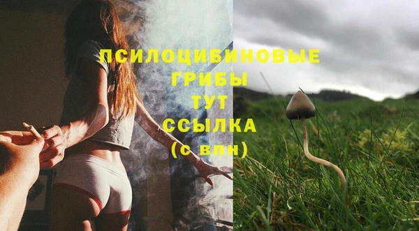 a pvp Пестово