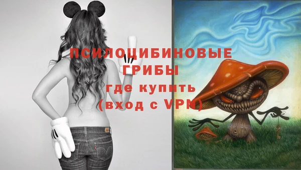первитин Переславль-Залесский